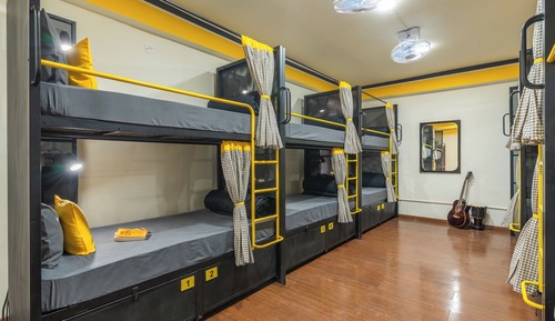 Bed in 12 Bed Mixed Dormitory