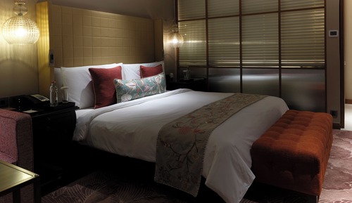 Basic Room, 1 King Bed (The Orlov)