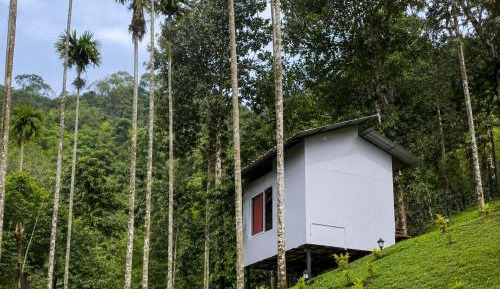Standard Cabin with Pool View – Non Air Conditioned