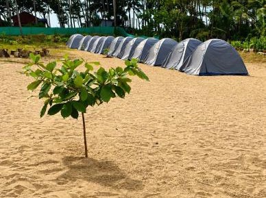 Tent