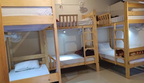 Single Bed in 6-Bed Dormitory Room