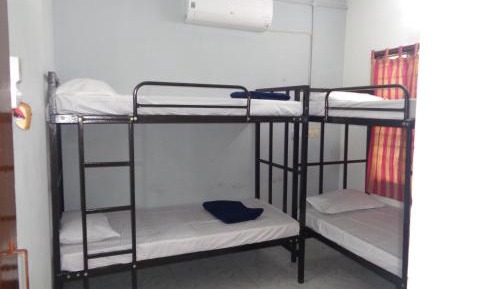 Bed in 4-Bed Mixed Dormitory Room
