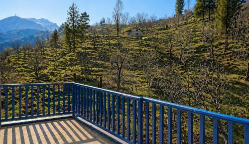 Double Room with Mountain View