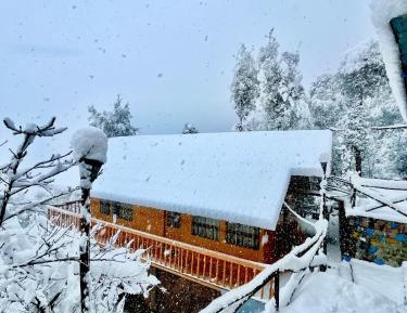 Double Room with Mountain View