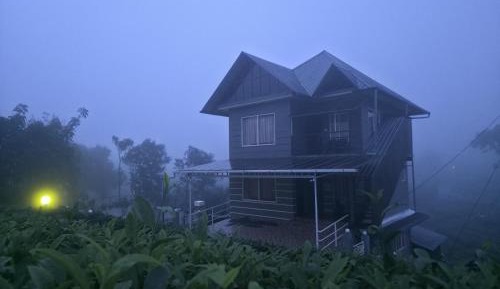 Standard Villa