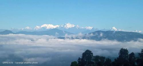 Double Room with Mountain View