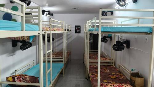 10-Bed Mixed Dormitory Room