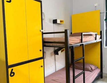 Single Bed in 10-Bed Dormitory Room
