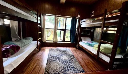 Bed in 4-Bed Mixed Dormitory Room