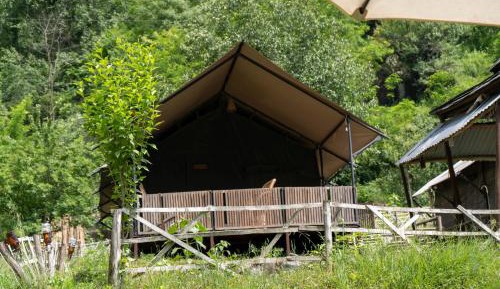 Tent