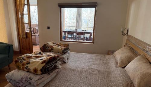 Double Room with Mountain View