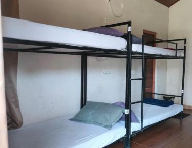 Bed in 8-Bed Mixed Dormitory Room