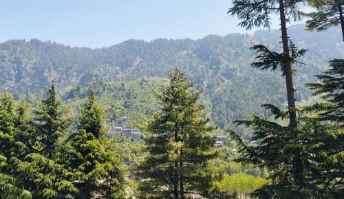 King Room with Mountain View