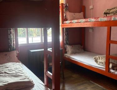 Single Bed in Mixed Dormitory Room
