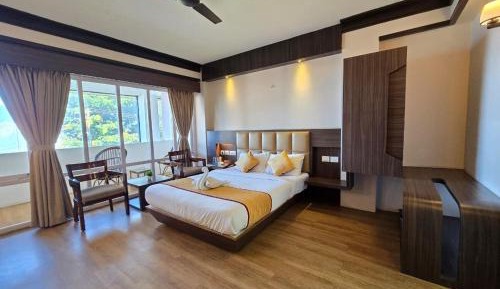 Premium Mountain view Room