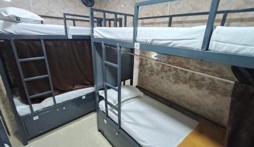 Bunk Bed in Male Dormitory Room 