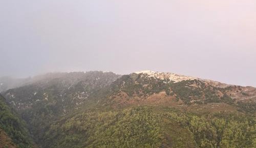 Double Room with Mountain View