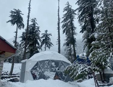 Tent