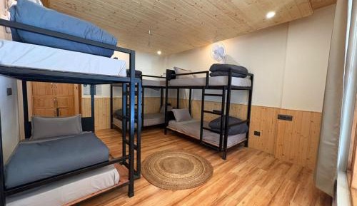 Bed in 6-Bed Mixed Dormitory Room