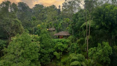 Elevated Cottage with Forest View