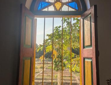 Double Room with Garden View