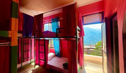 Bed in 6-Bed Mixed Dormitory Room