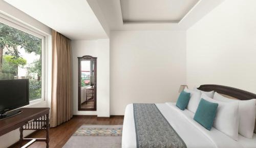 Winter Green King Room with Limited View