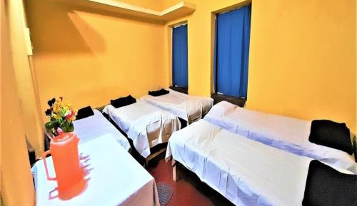 Single Bed in Mixed Dormitory Room