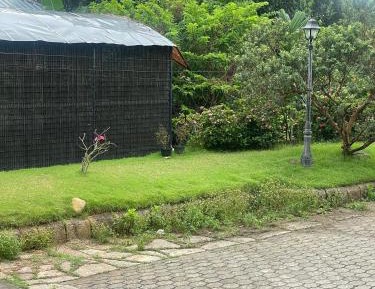 Double Room with Garden View