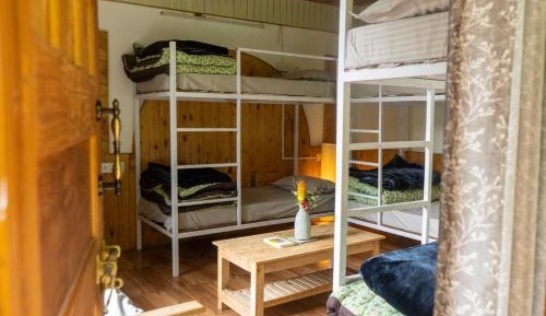 Single Bed in 6-Bed Dormitory Room
