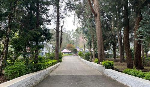 King Room with Garden View