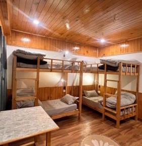 Bed in 6-Bed Mixed Dormitory Room