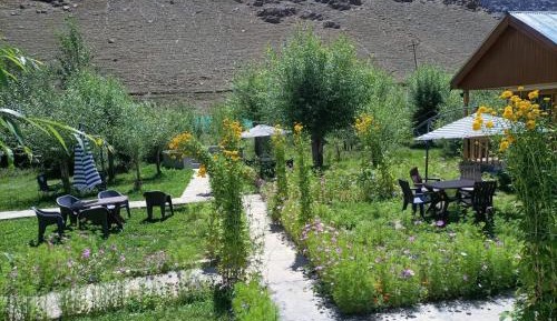 King Room with Garden View