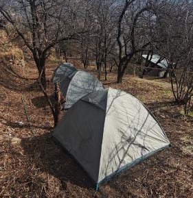 Tent