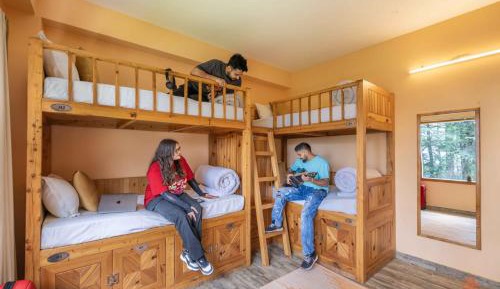 Bed in 6 Bed Mixed Dorm (with shared washroom)