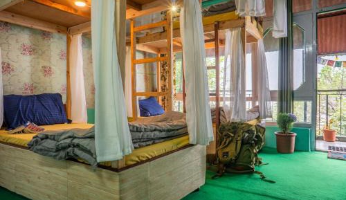 Bunk Bed in Mixed Dormitory Room