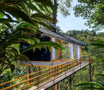 LUXURY TREE HOUSE