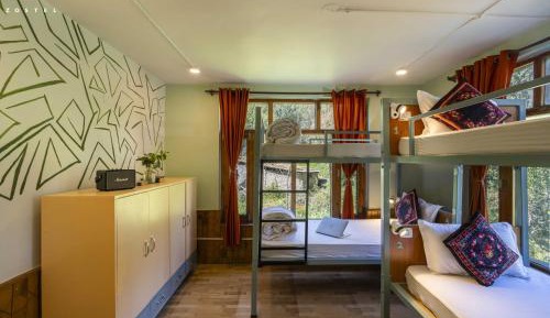 Bed in 4-Bed Female Dormitory Room