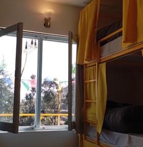 Bunk Bed in Mixed Dormitory Room