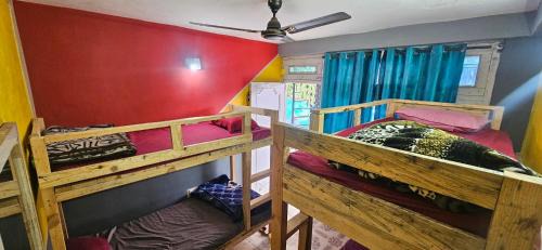 Bunk Bed in Mixed Dormitory Room