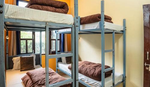 Bed in 4-Bed Mixed Dormitory Room