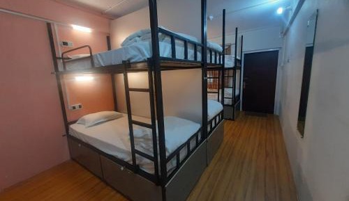 Bed in 8-Bed Mixed Dormitory Room