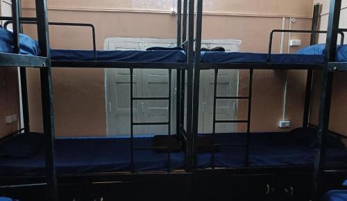 Bed in 8-Bed Mixed Dormitory Room