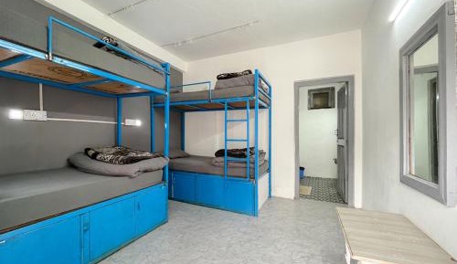 Bed in 4-Bed Mixed Dormitory Room