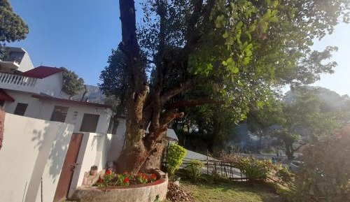 Double Room with Garden View