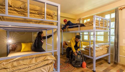 Bed in 4-Bed Mixed Dormitory Room