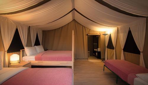 Aabha (Deluxe Tents)