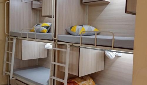 Bunk Bed in Male Dormitory Room 