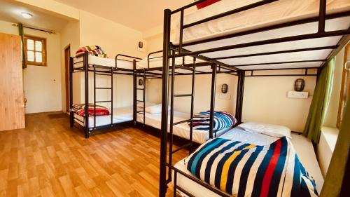 Deluxe 6-Bed Mixed Dormitory