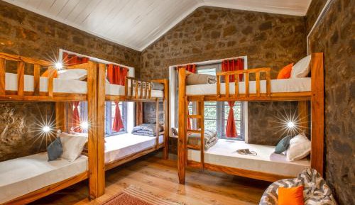 Bed in 8-Bed Mixed Dormitory Room